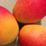 Photo of Ripe Mangoes